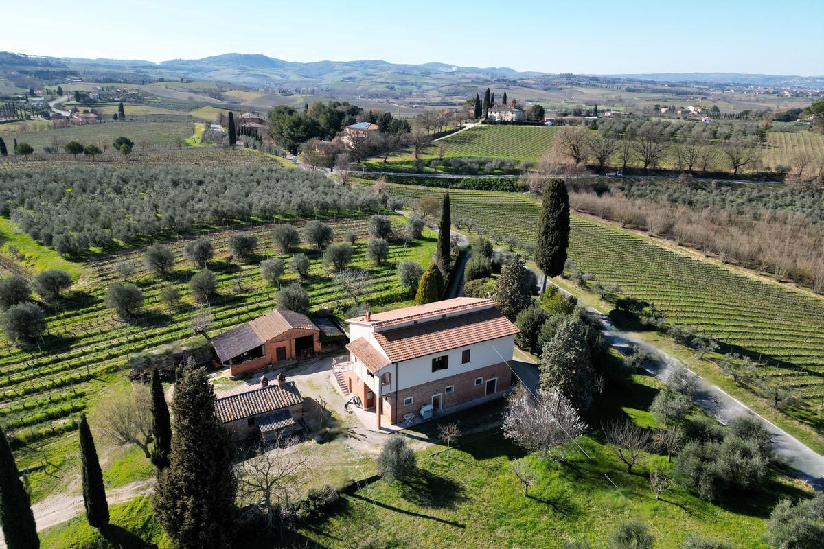immagine annuncio 11 di 15