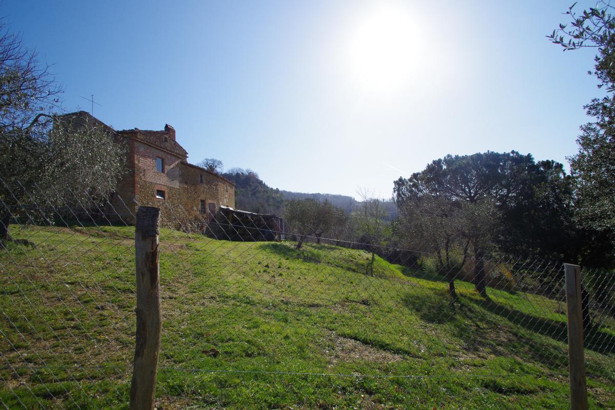 immagine annuncio 8 di 9