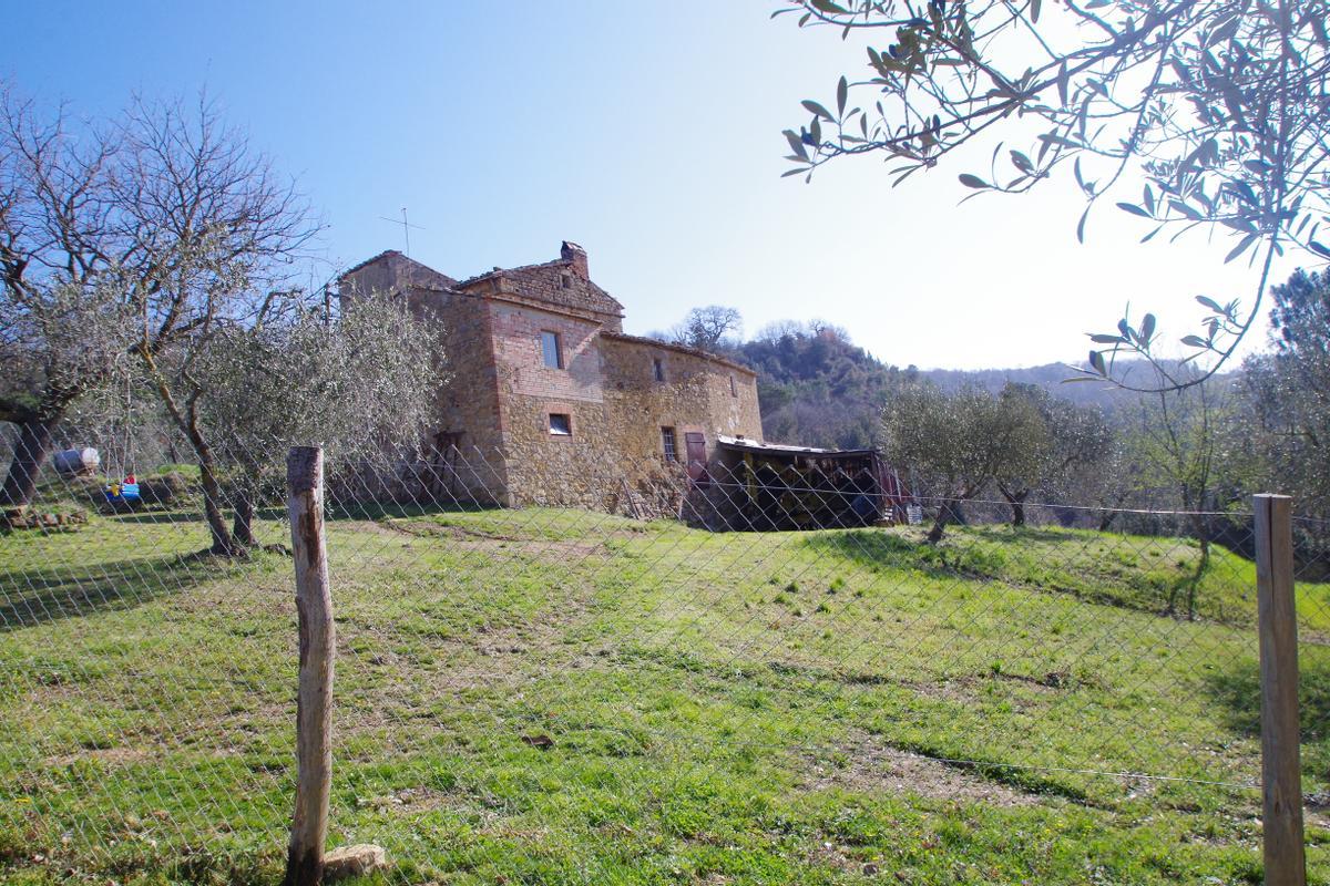 immagine annuncio 2 di 9