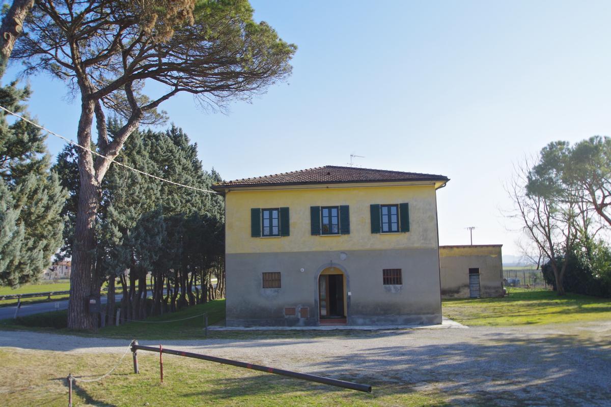 immagine annuncio 11 di 15
