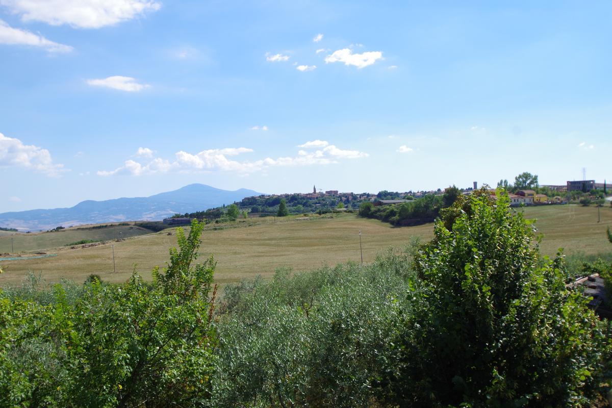 immagine annuncio 13 di 14