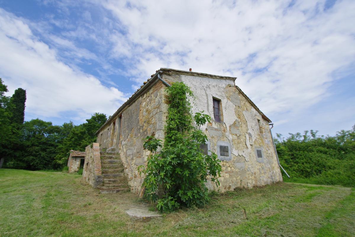 immagine annuncio 2 di 11