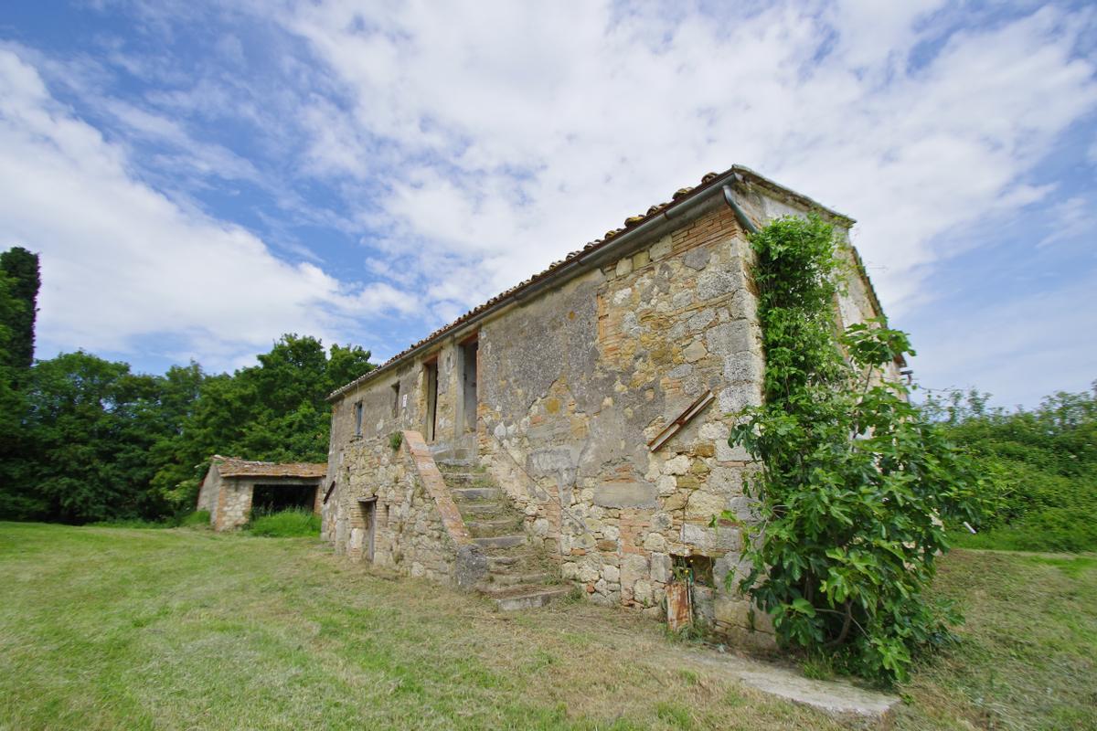 immagine annuncio 6 di 11