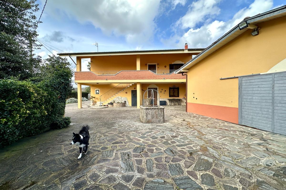 immagine annuncio 4 di 15