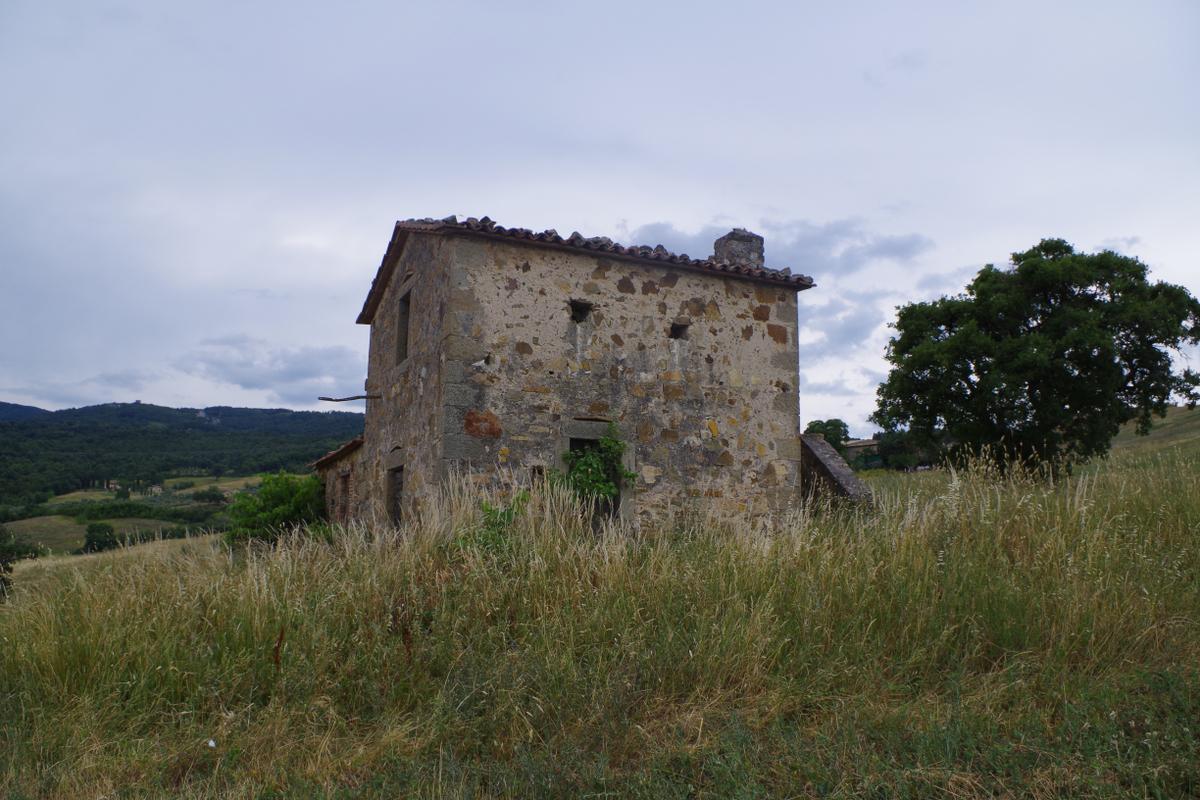 immagine annuncio 8 di 14