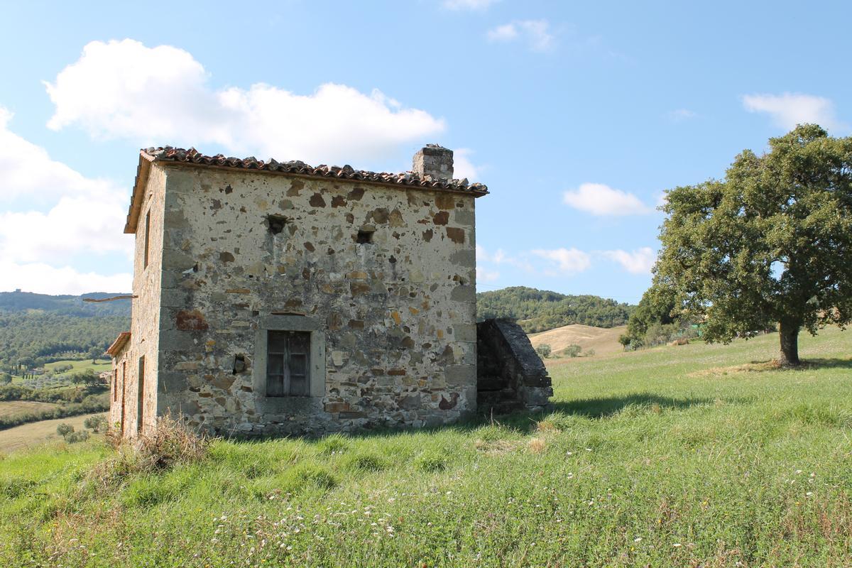 immagine annuncio 3 di 14