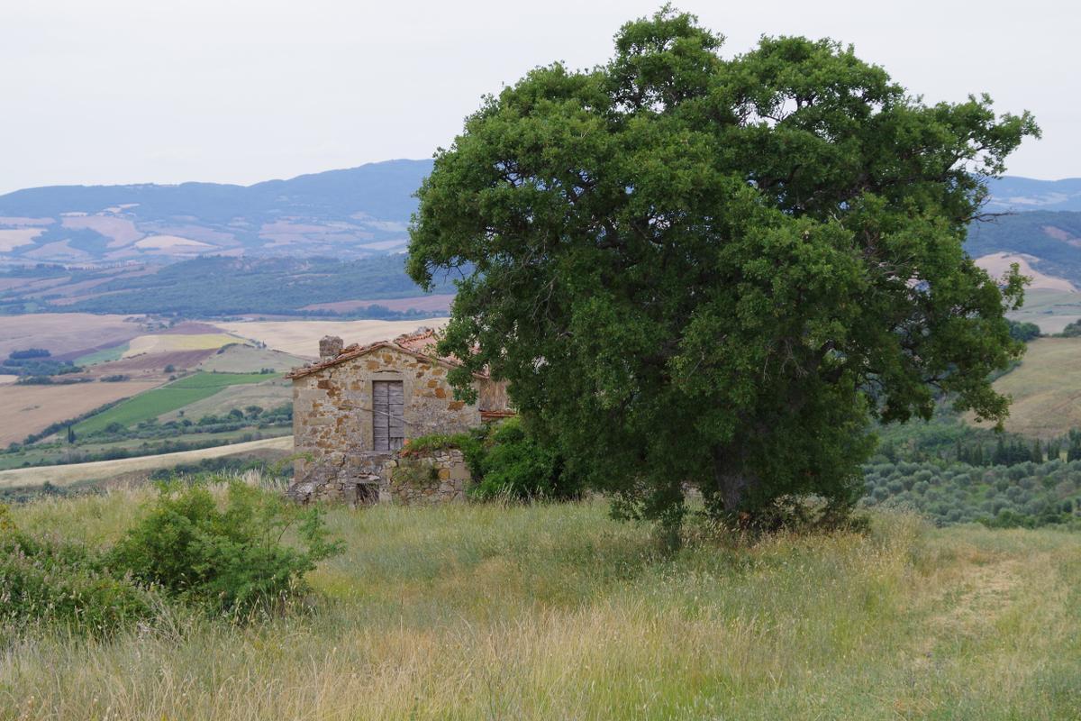 immagine annuncio 6 di 14