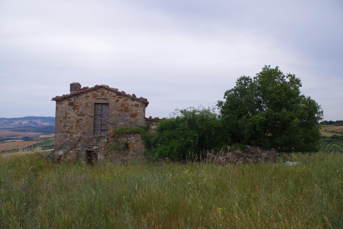 immagine annuncio 11 di 14