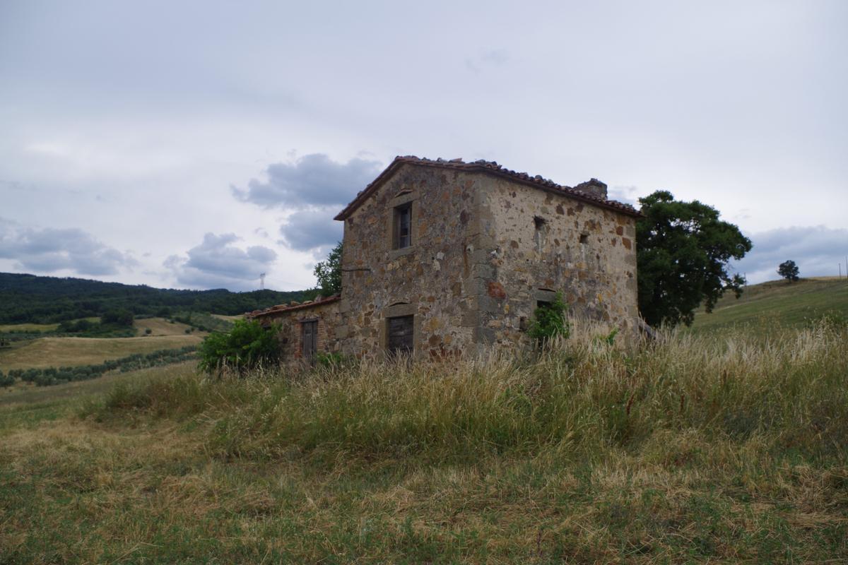 immagine annuncio 10 di 14
