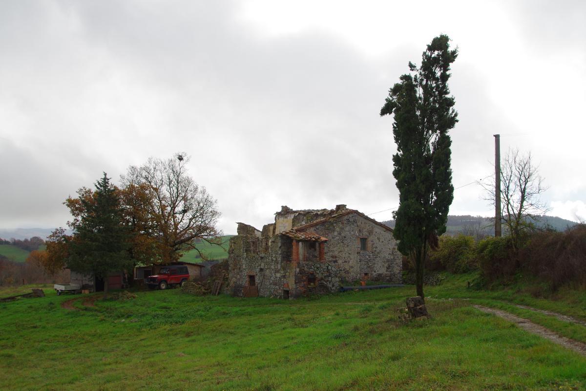 immagine annuncio 10 di 12