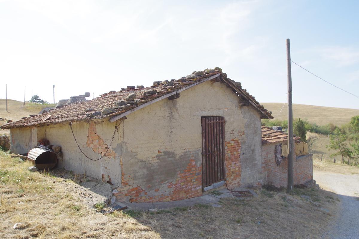 immagine annuncio 13 di 15