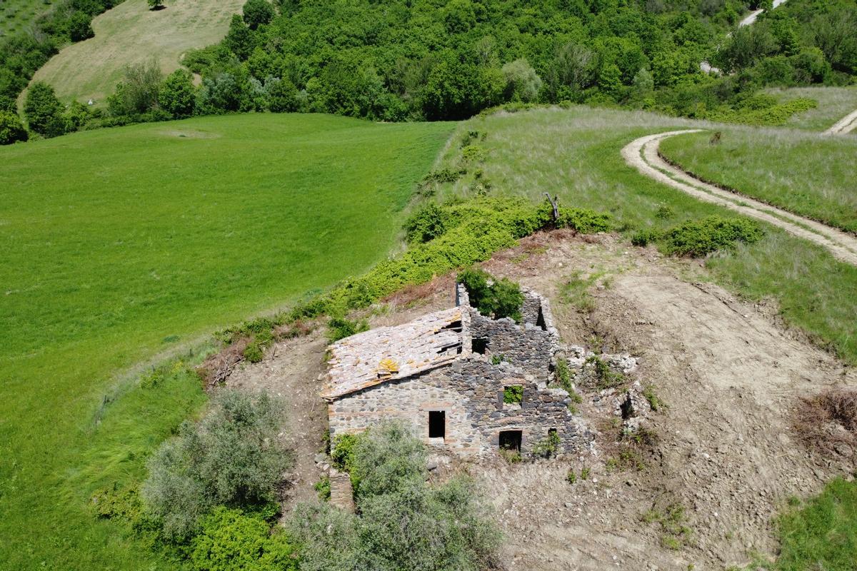 immagine annuncio 3 di 10