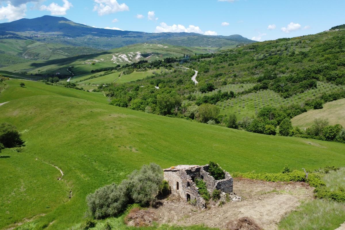 immagine annuncio 1 di 10