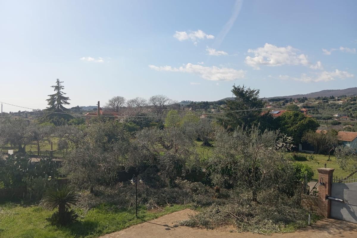 immagine annuncio 9 di 11