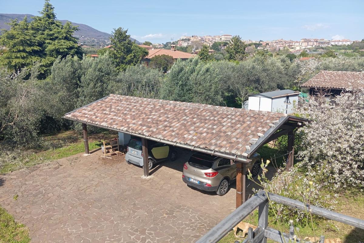immagine annuncio 4 di 11