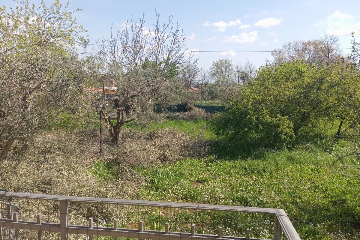 immagine annuncio 8 di 11