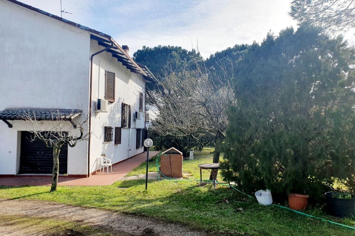 immagine annuncio 8 di 12