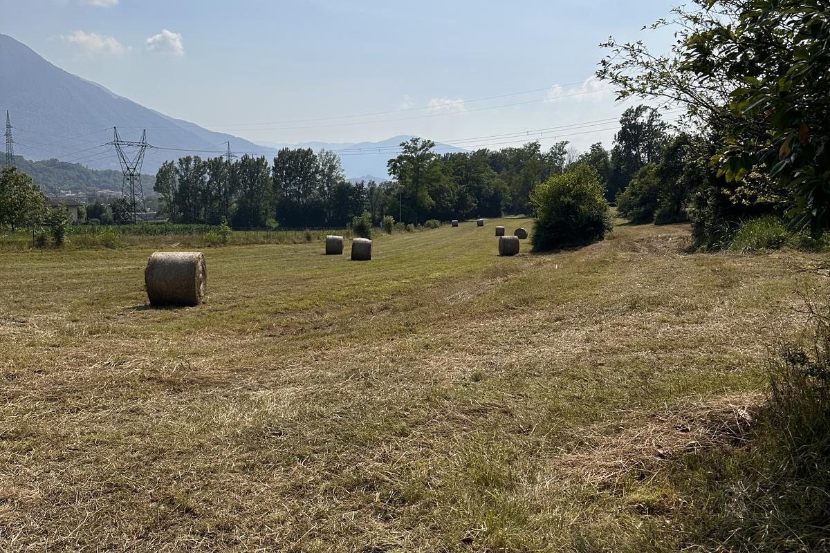 immagine annuncio 7 di 8