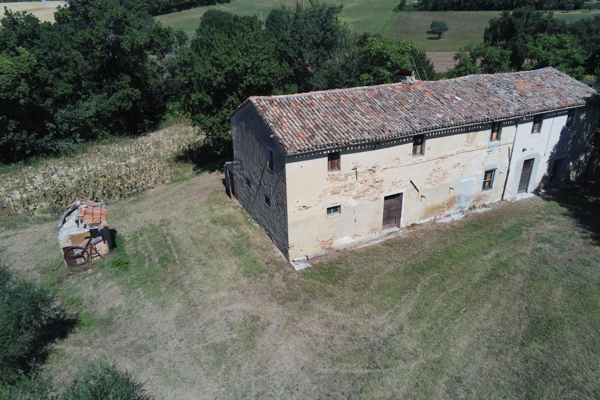 immagine annuncio 8 di 12