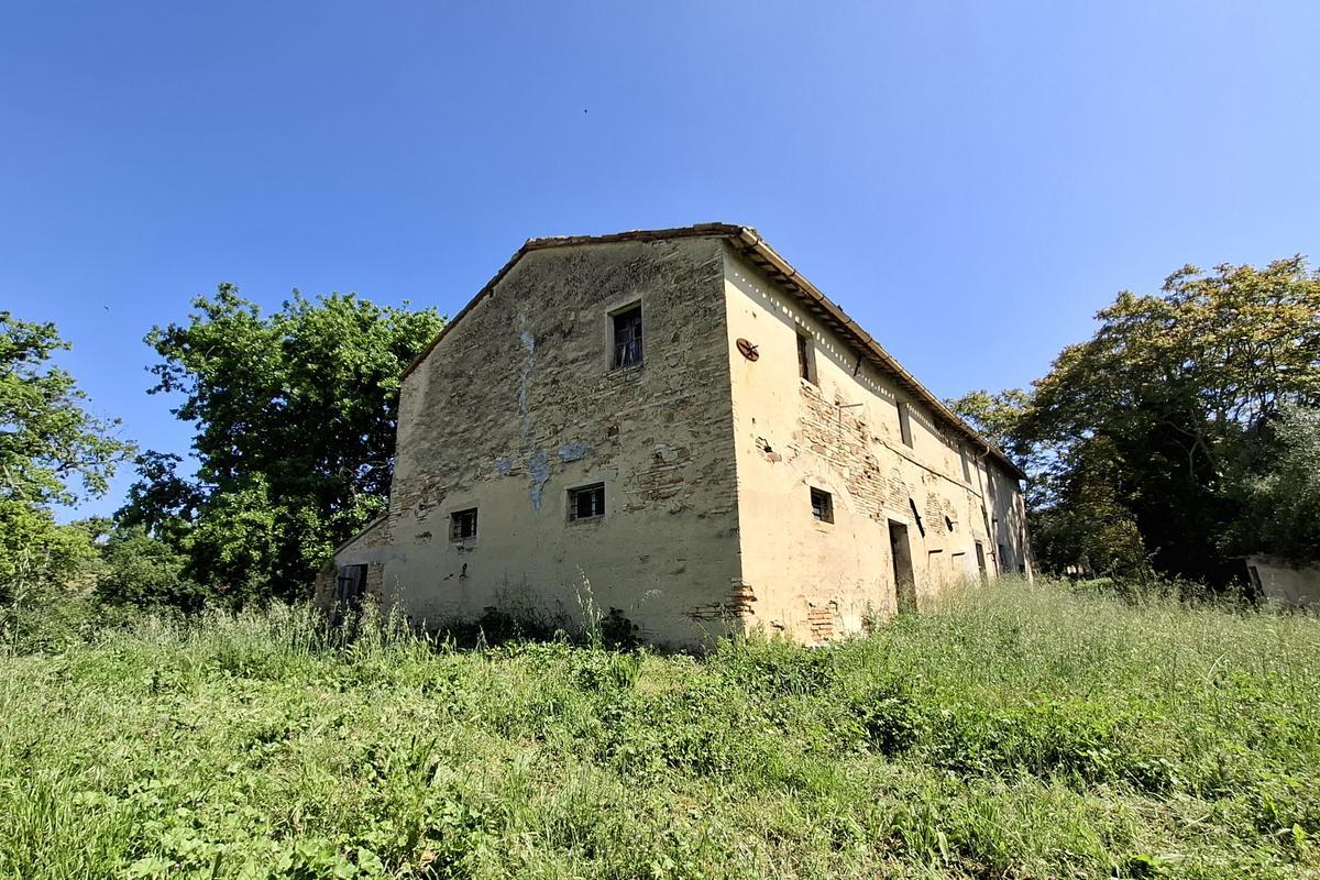 immagine annuncio 1 di 12