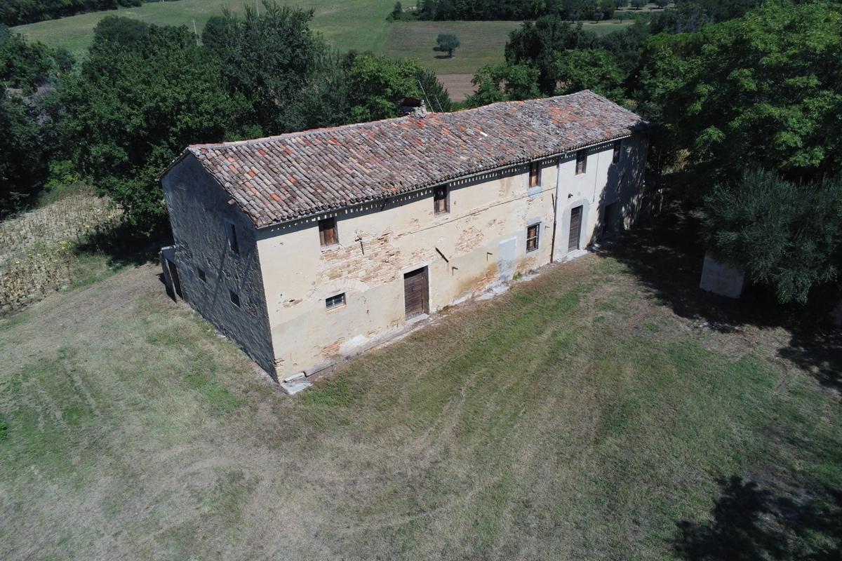 immagine annuncio 10 di 12