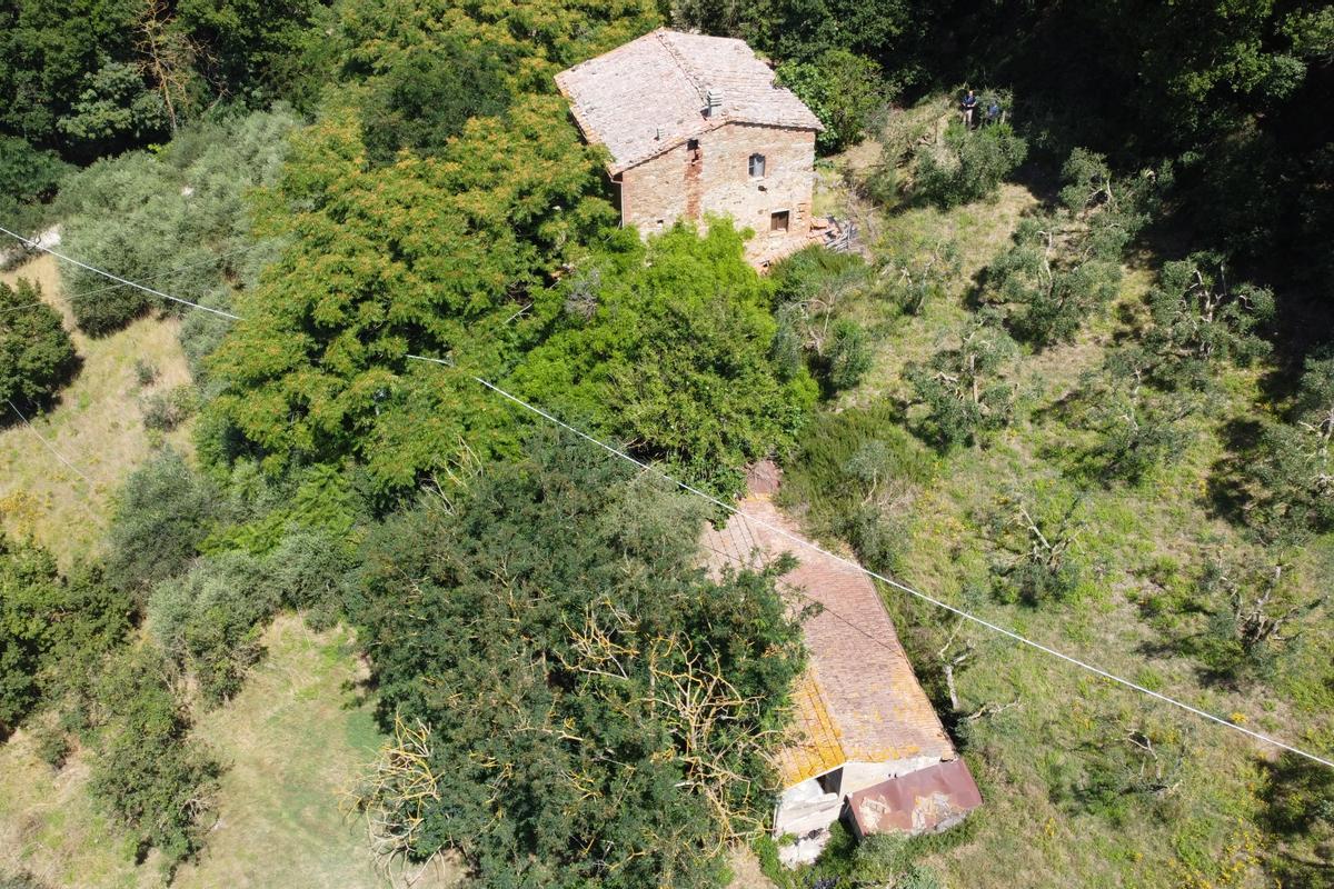 immagine annuncio 2 di 11