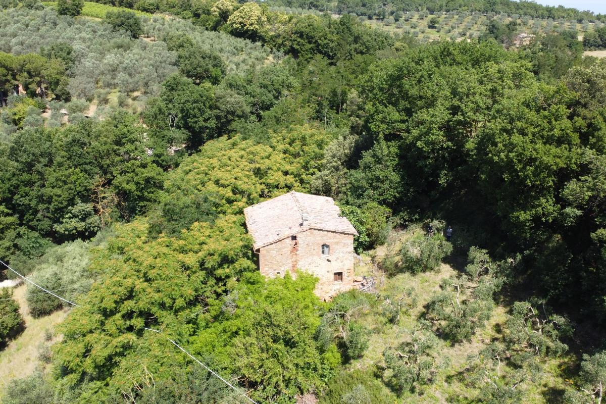 immagine annuncio 1 di 11