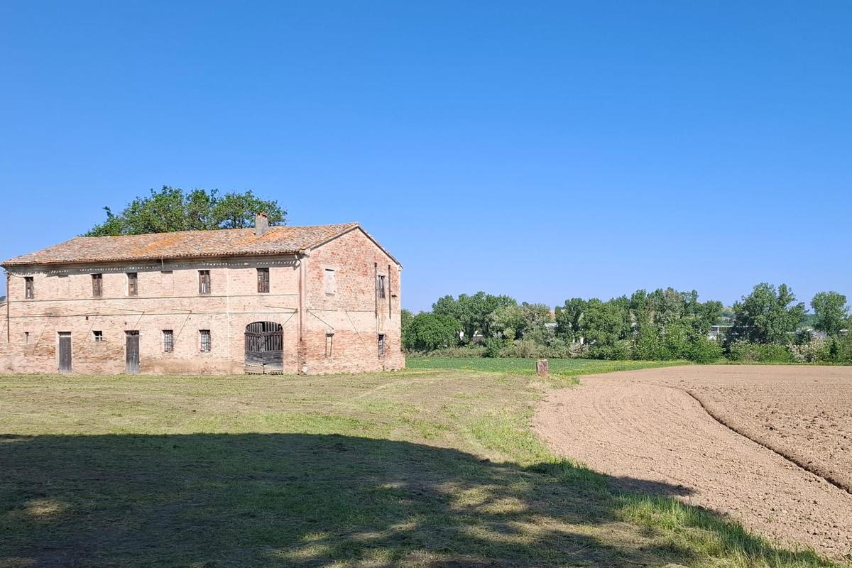 immagine annuncio 5 di 9