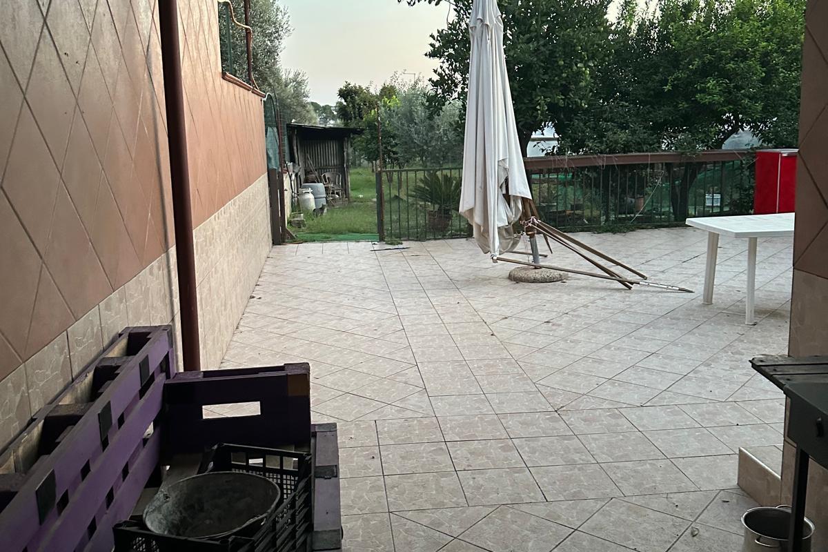 immagine annuncio 9 di 13