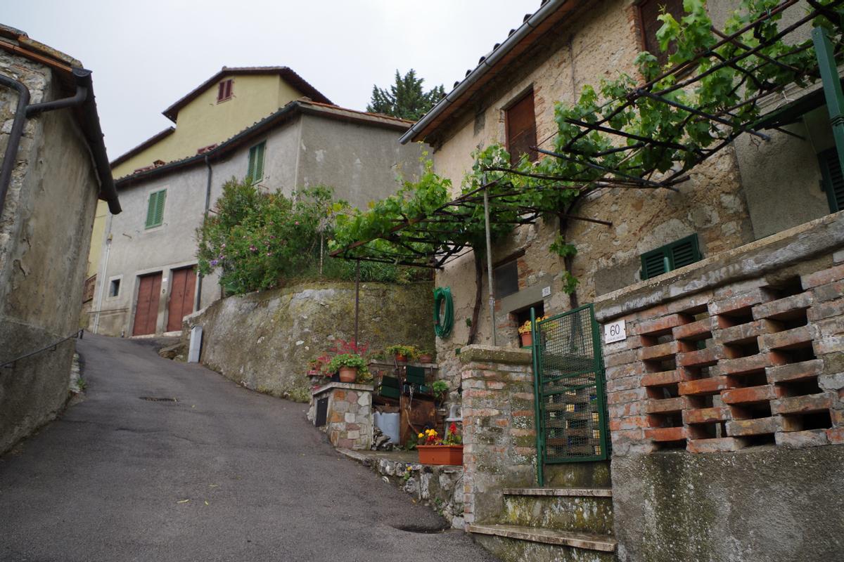 immagine annuncio 8 di 12