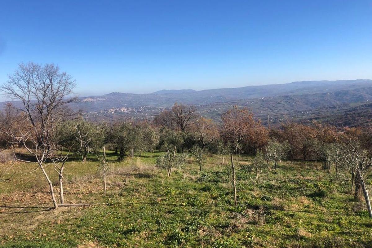 immagine annuncio 3 di 9