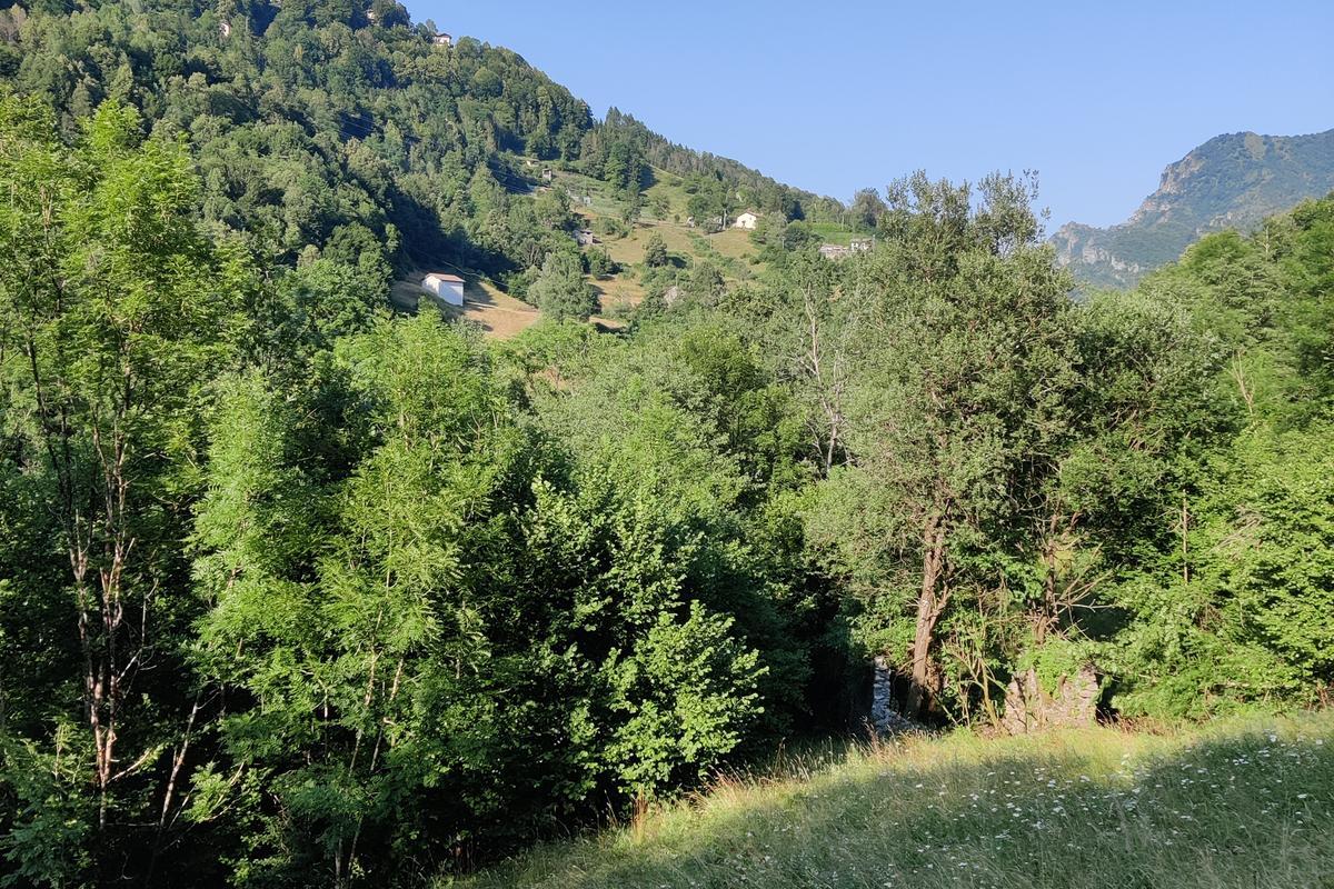 immagine annuncio 10 di 11