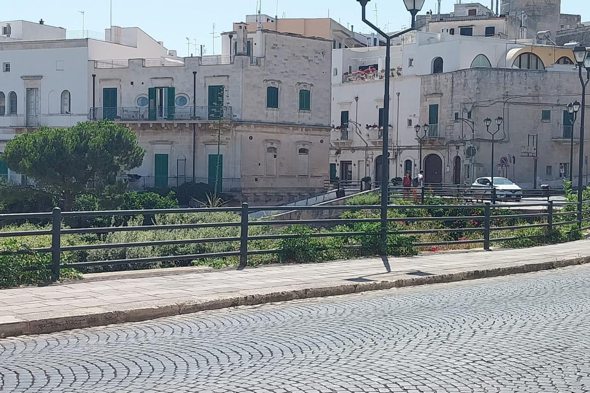 immagine annuncio 12 di 13