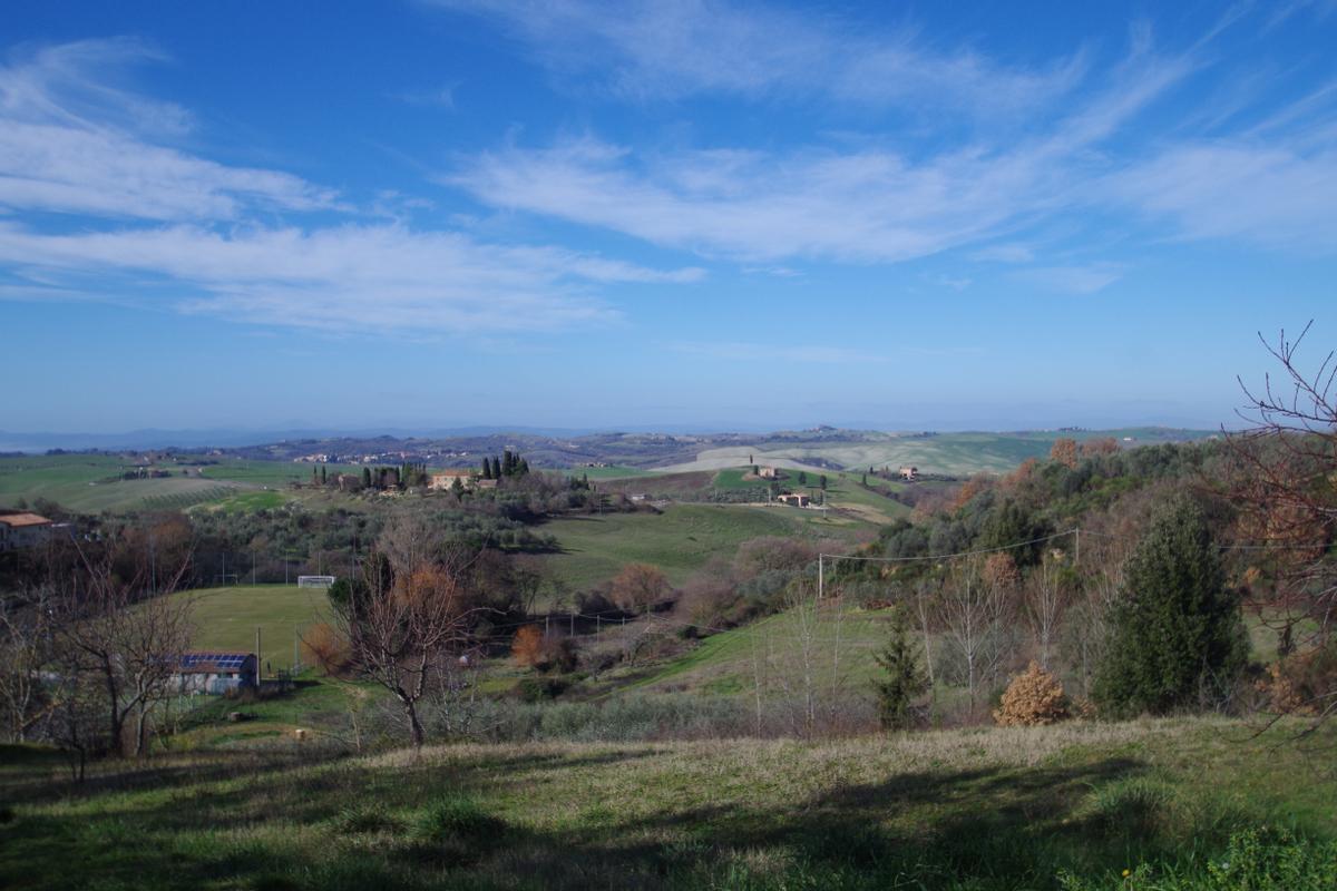 immagine annuncio 7 di 9