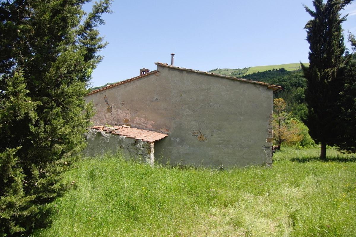 immagine annuncio 5 di 11