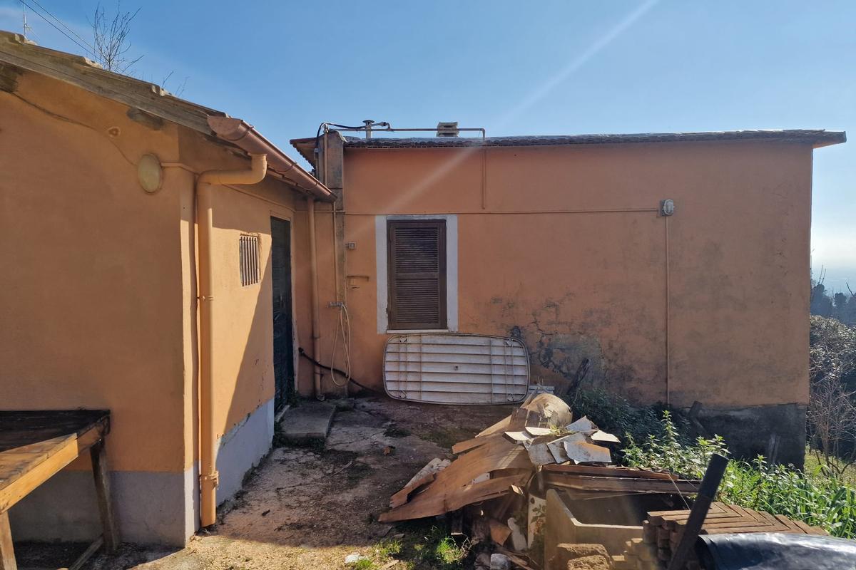 immagine annuncio 10 di 13