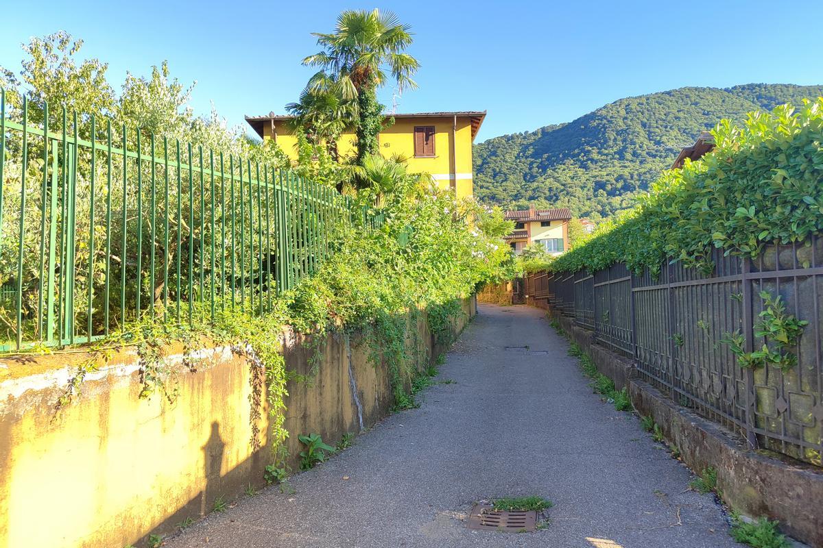 immagine annuncio 5 di 6