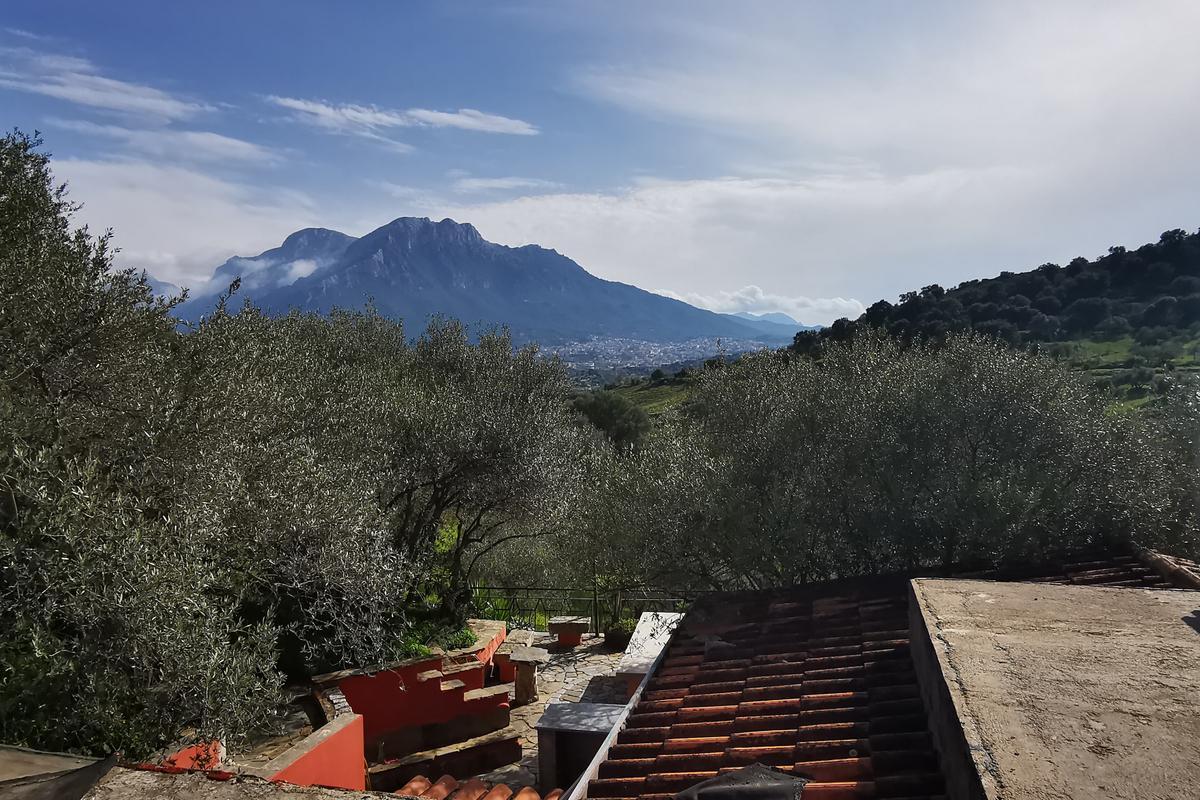 immagine annuncio 7 di 14