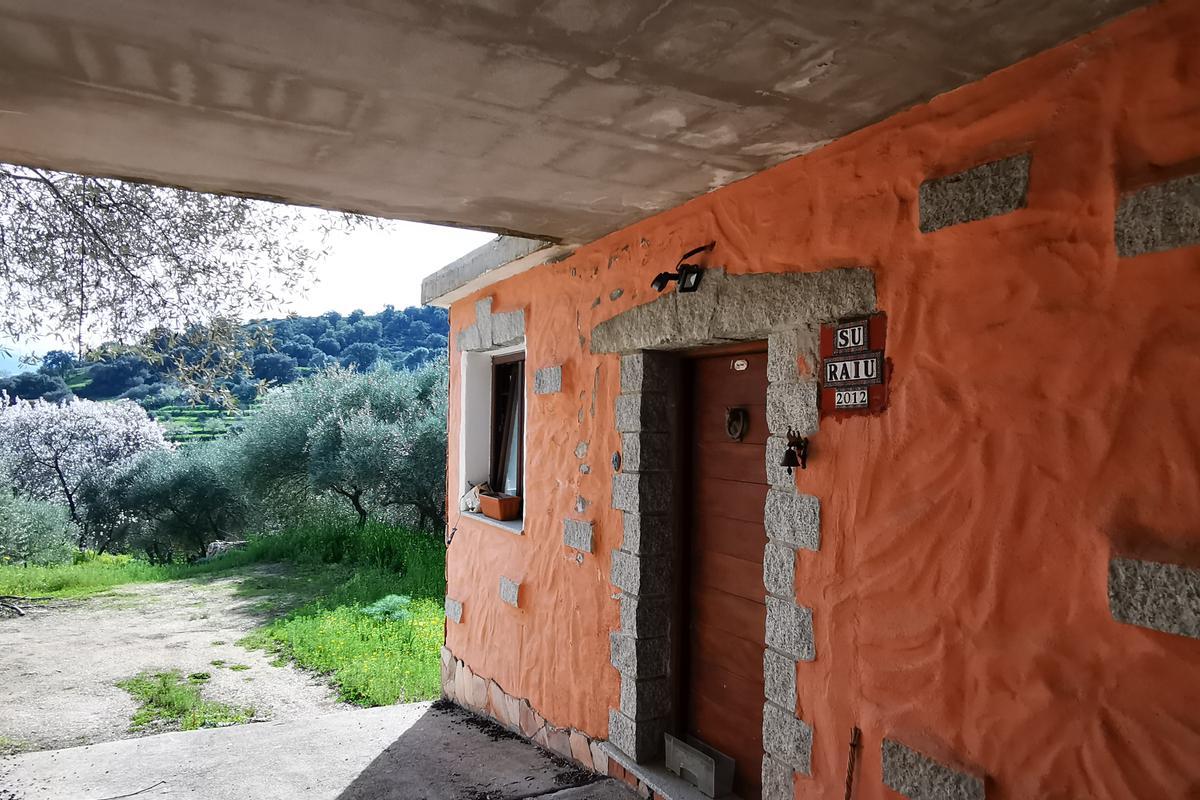 immagine annuncio 3 di 14