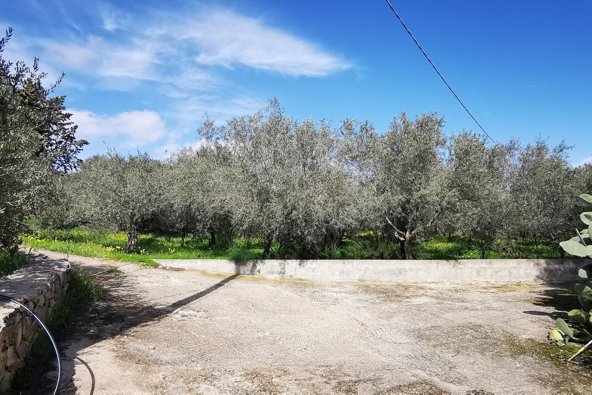 immagine annuncio 8 di 14