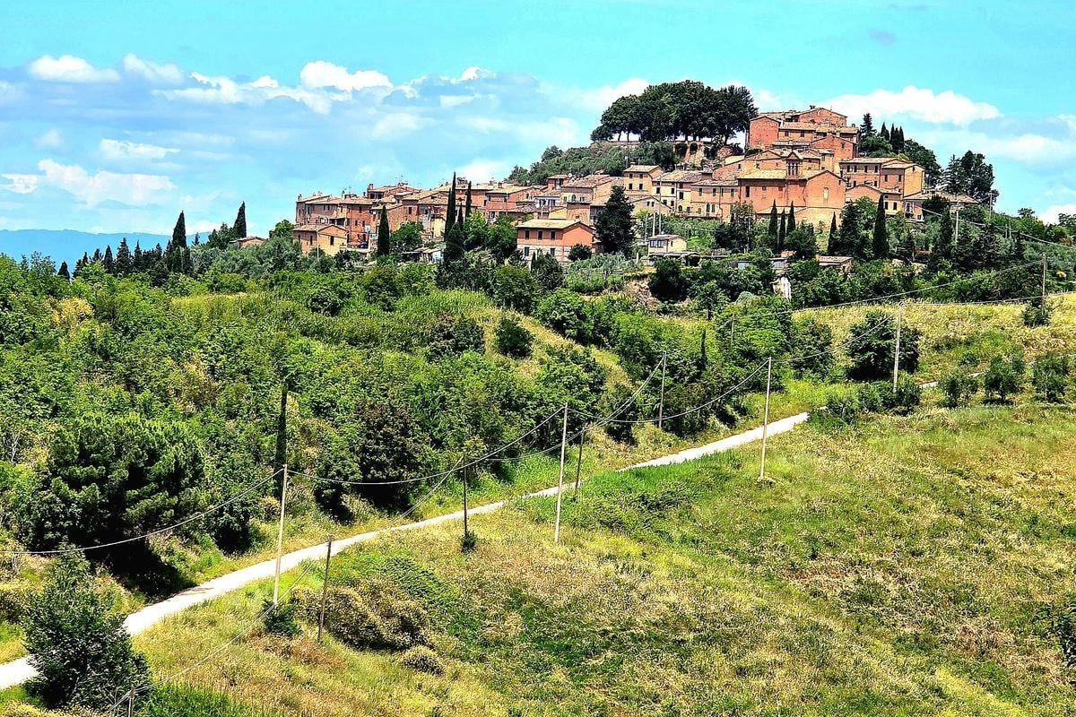 immagine annuncio 6 di 15