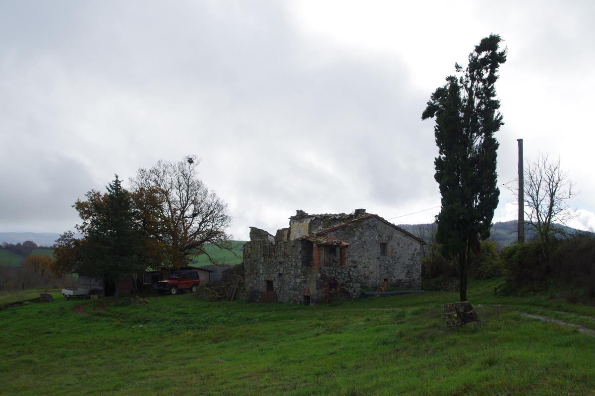 immagine annuncio 2 di 12