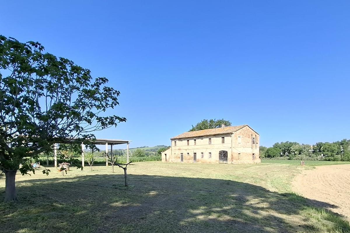 immagine annuncio 6 di 9