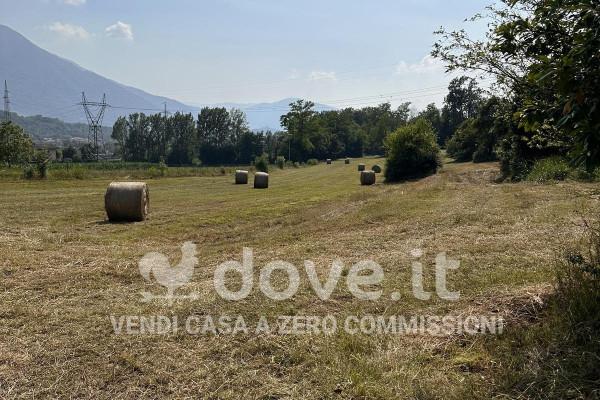 immagine annuncio 7 di 8