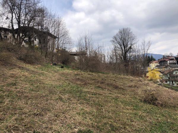 immagine annuncio 5 di 11