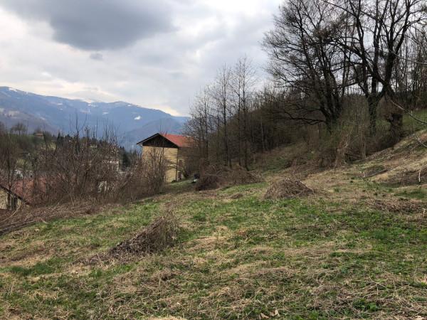 immagine annuncio 6 di 11