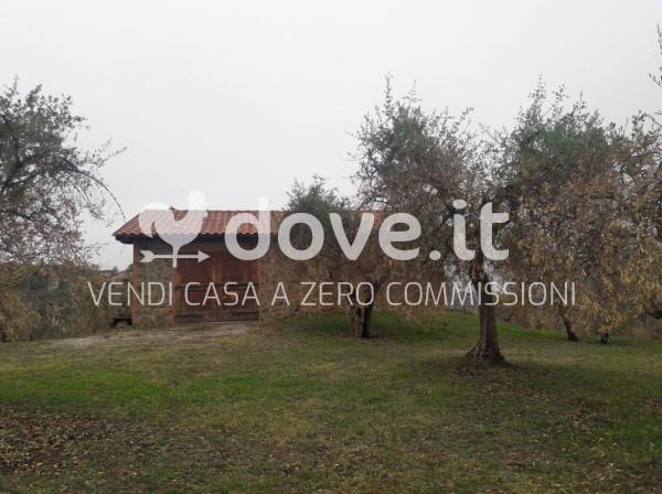 immagine annuncio 3 di 8