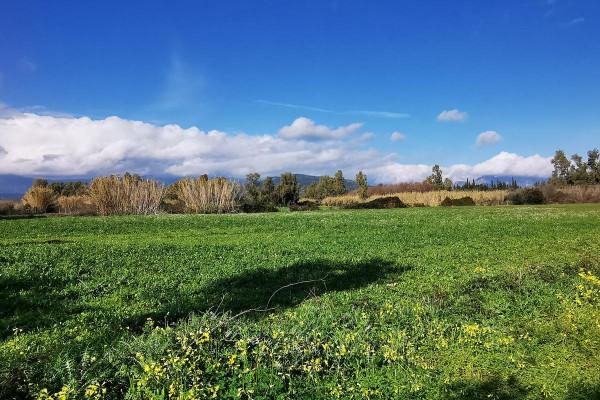 immagine annuncio 1 di 7