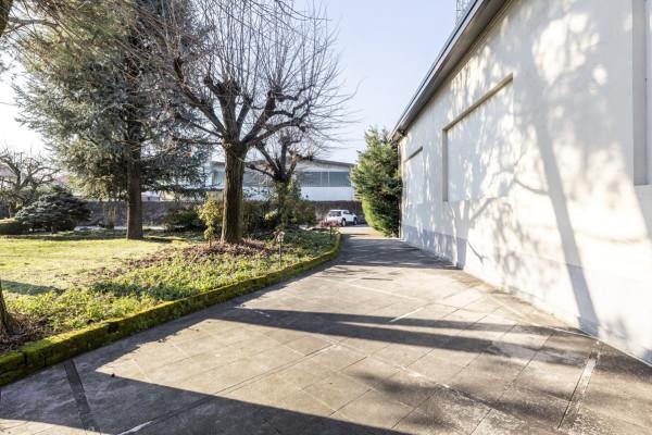 immagine annuncio 3 di 13