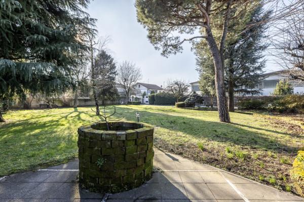 immagine annuncio 7 di 13